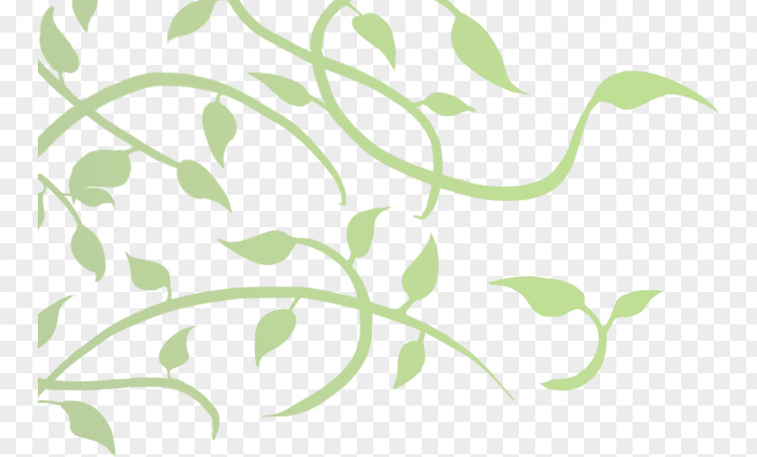 Leaf Plant Stem Pattern PNG