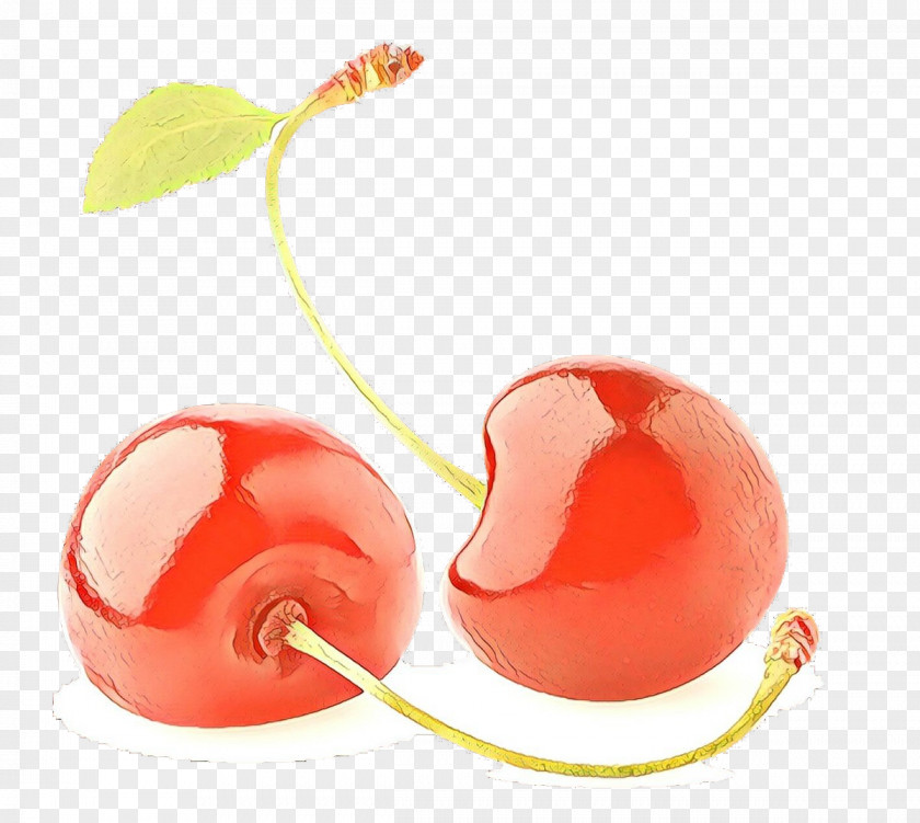 Plant Cherry Healthy Heart PNG