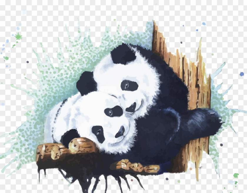 Vector Panda Giant Watercolor Painting Euclidean PNG