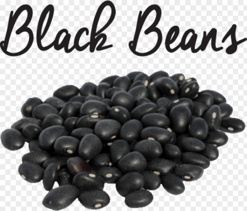 Bean Banner Black Turtle Gram Protein Meaning PNG