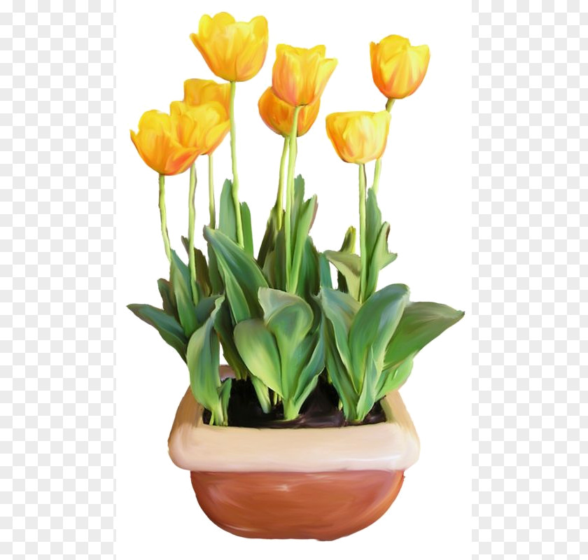 Flower Flowerpot Clip Art Tulip Floral Design PNG