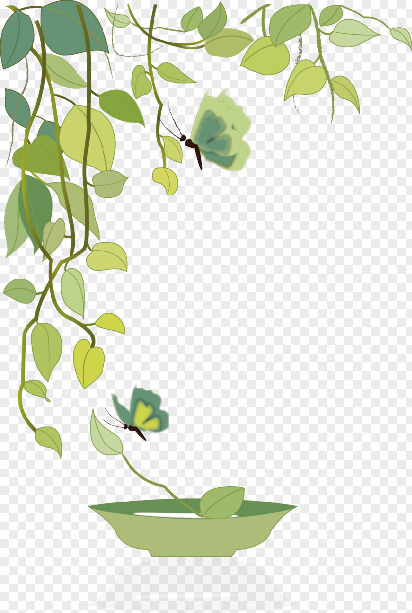 Leaf Green Illustration PNG