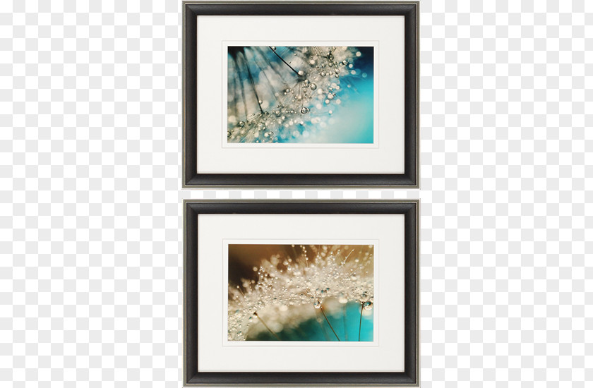 Painting Picture Frames Work Of Art Floral Design Abstract PNG