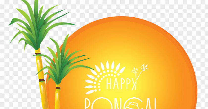 Psd Layered Thai Pongal Makar Sankranti PNG