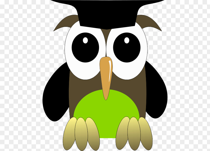Sowa Owl Beak Voluntary Association Character Clip Art PNG