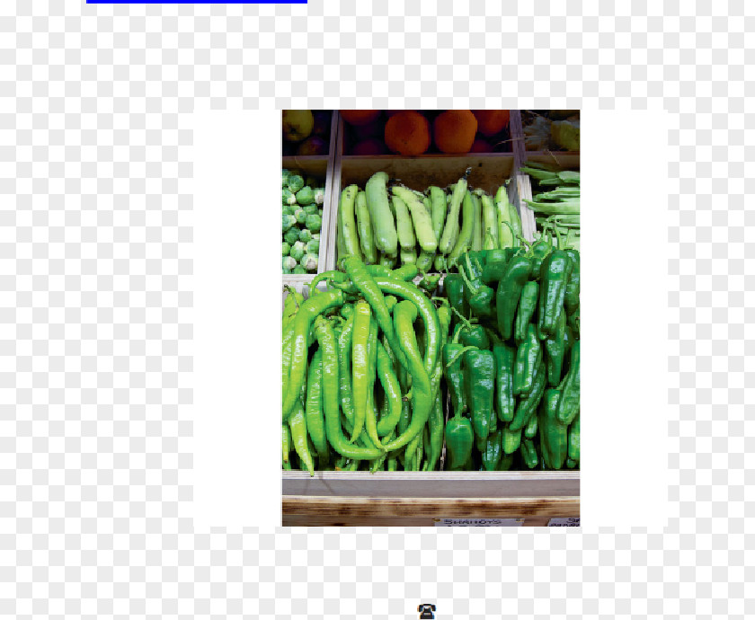 Vegetable Organism PNG