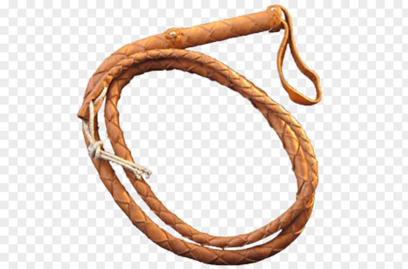Weapon Bullwhip Cat O' Nine Tails Flagellation PNG