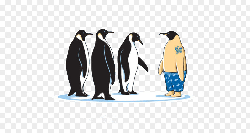Creative Penguin T-shirt Glennz Tees Clothing PNG