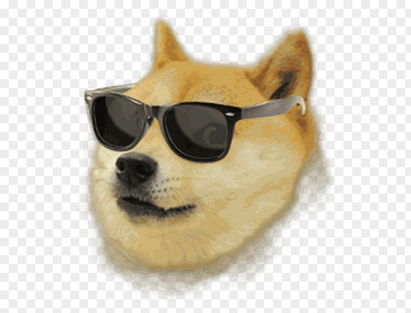 Doge Weather Agar.io Forecasting PNG