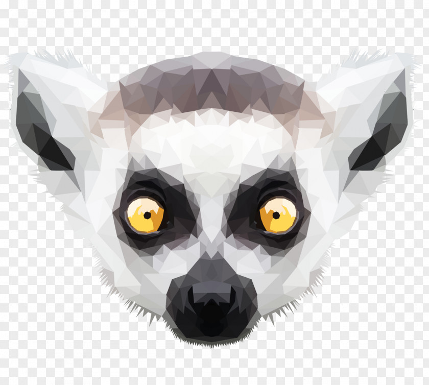 Geometric Animal Lemurs Ring-tailed Lemur Black-and-white Ruffed Art PNG