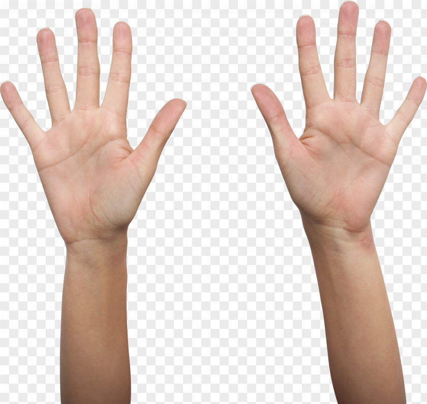 Hands Photography Fotosearch Clip Art PNG