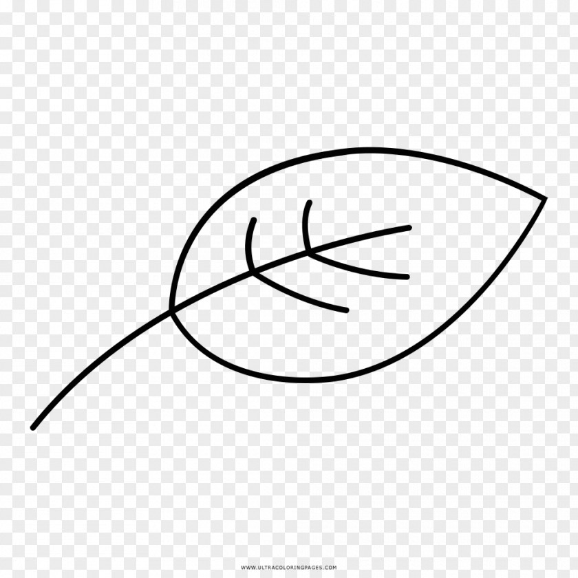 Leaf Black And White Drawing Coloring Book PNG