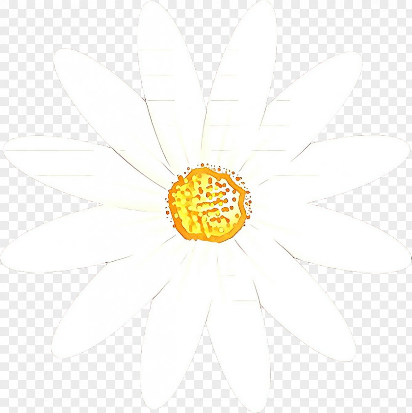 Mayweed Pollen Flowers Background PNG