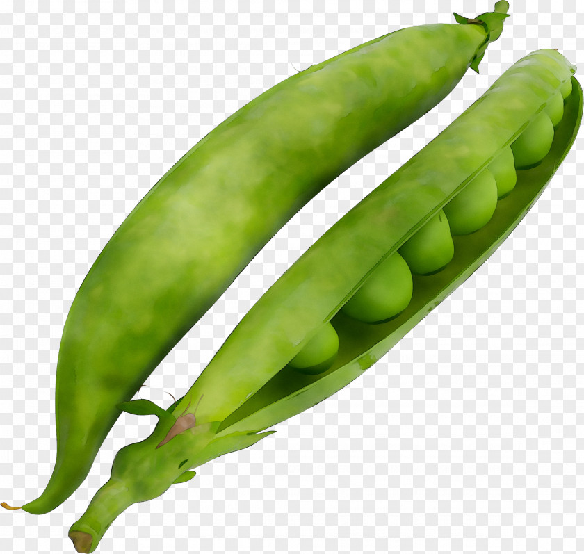 Snap Pea Common Bean Vegetarian Cuisine Edamame Lima PNG