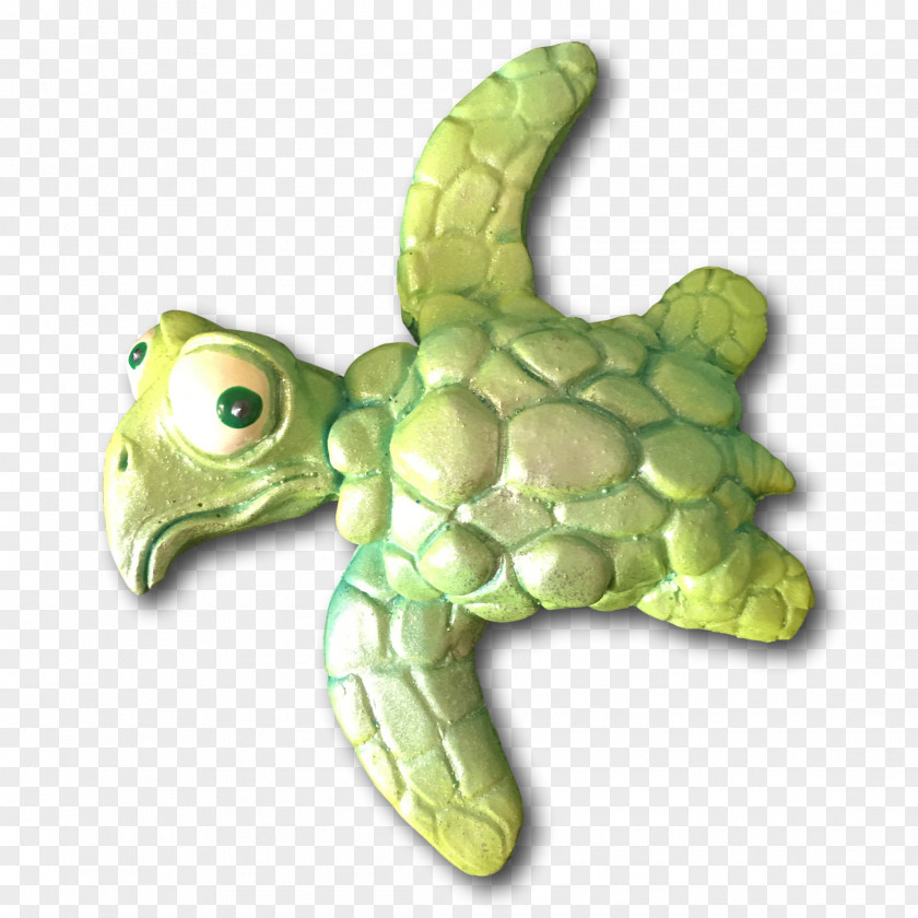 Turtle Sea Tortoise Terrestrial Animal PNG