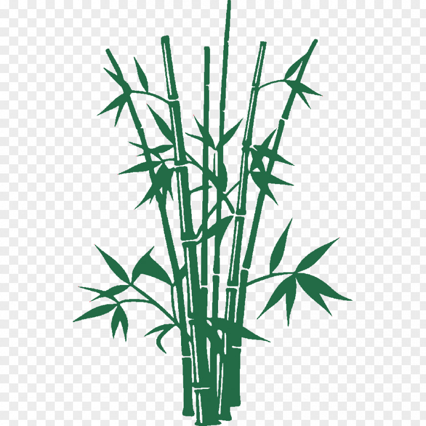 Zen Vector Graphics Bamboo Illustration Shutterstock PNG