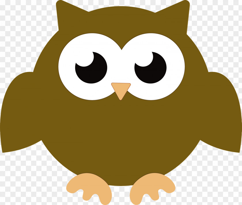 Birds Beak Cartoon Snout Bird Of Prey PNG