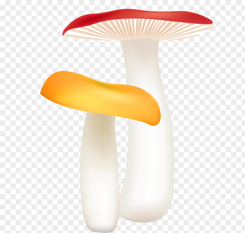 Hand Drawn Mushrooms Mushroom Drawing Euclidean Vector PNG