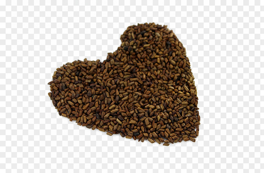 Heart Cassia Sicklepod Tea Chinese Herbology Seed Drinking PNG