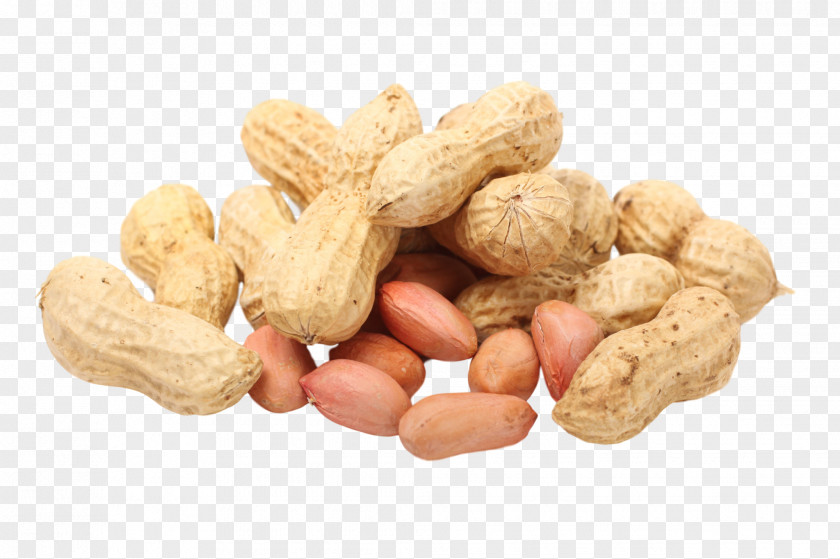 Peanut Seed Legume Pistachio PNG