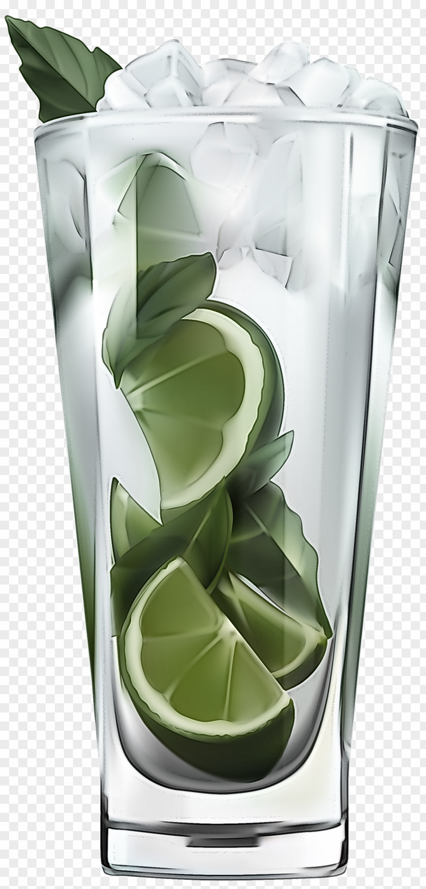 Plant Leaf Green PNG