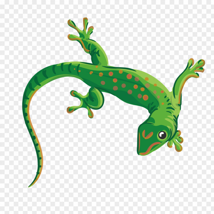 Vector Green Gecko Reptile Lizard Chameleons Euclidean Illustration PNG
