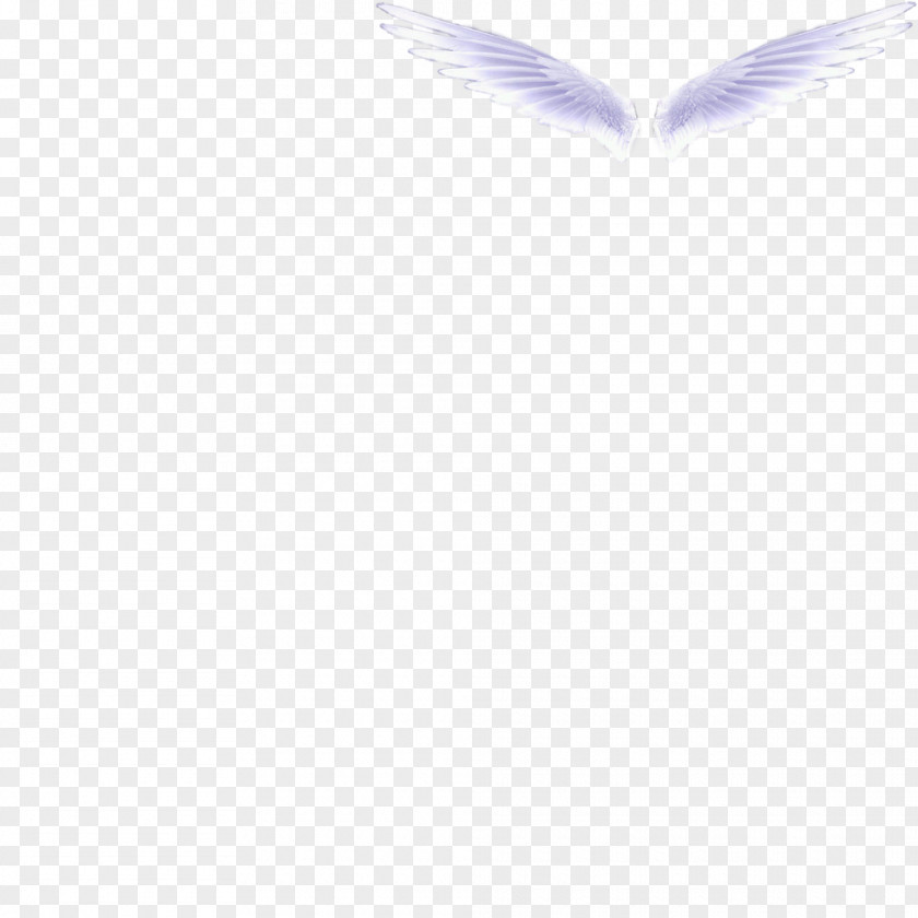 Wing,angel,dream White Black Angle Pattern PNG
