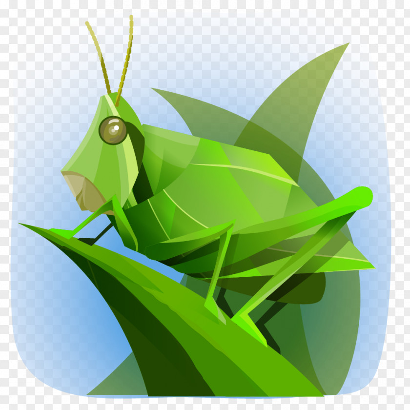 Grasshopper Cricket Wireless Comisión Nacional Para El Conocimiento Y Uso De La Biodiversidad Chapulines PNG