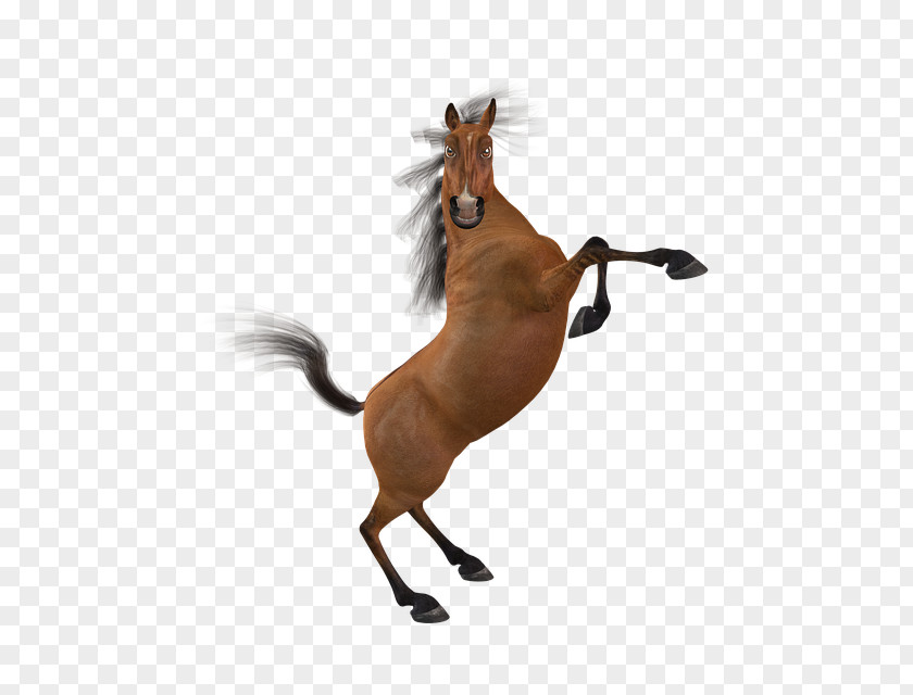 Mustang Clip Art Mane Stallion Pony PNG