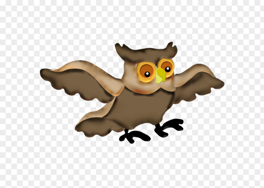 Owl Bird Cartoon Beak PNG