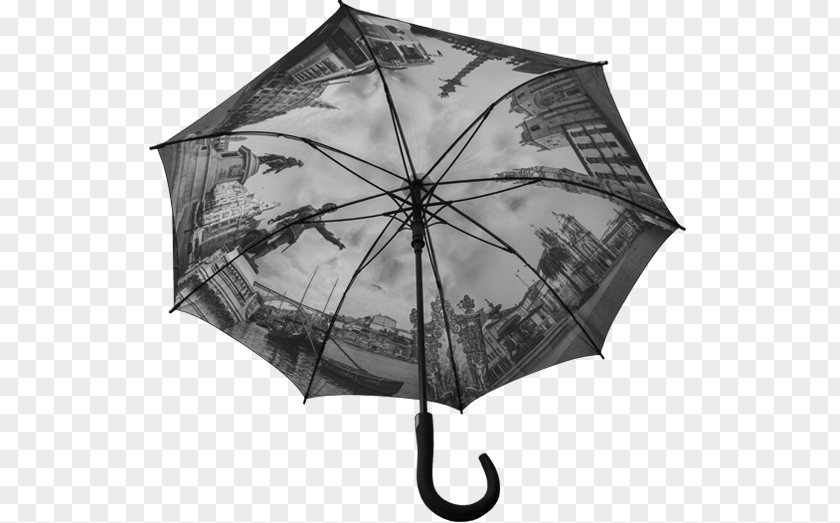 Umbrella White PNG