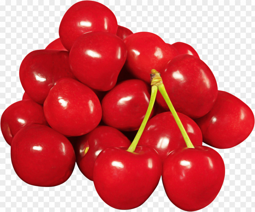 Berry Flower Tomato Cartoon PNG