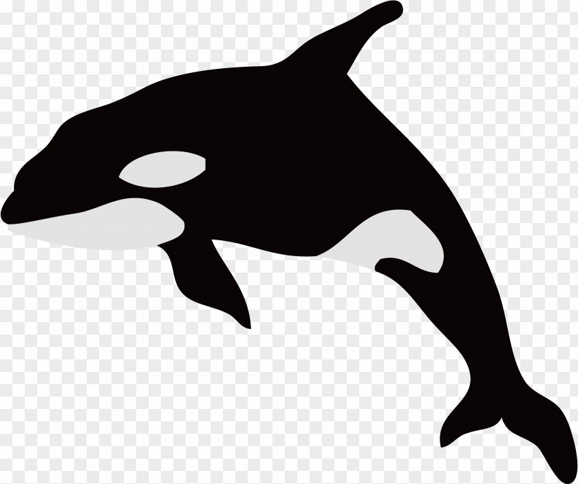 Black Dolphin Killer Whale Illustration Whales Silhouette PNG