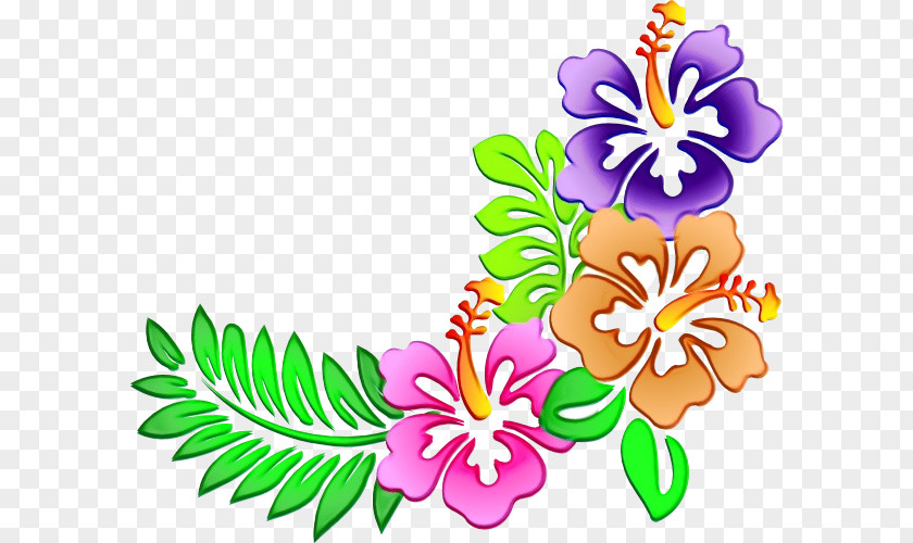 Mallow Family Herbaceous Plant Floral Flower Background PNG
