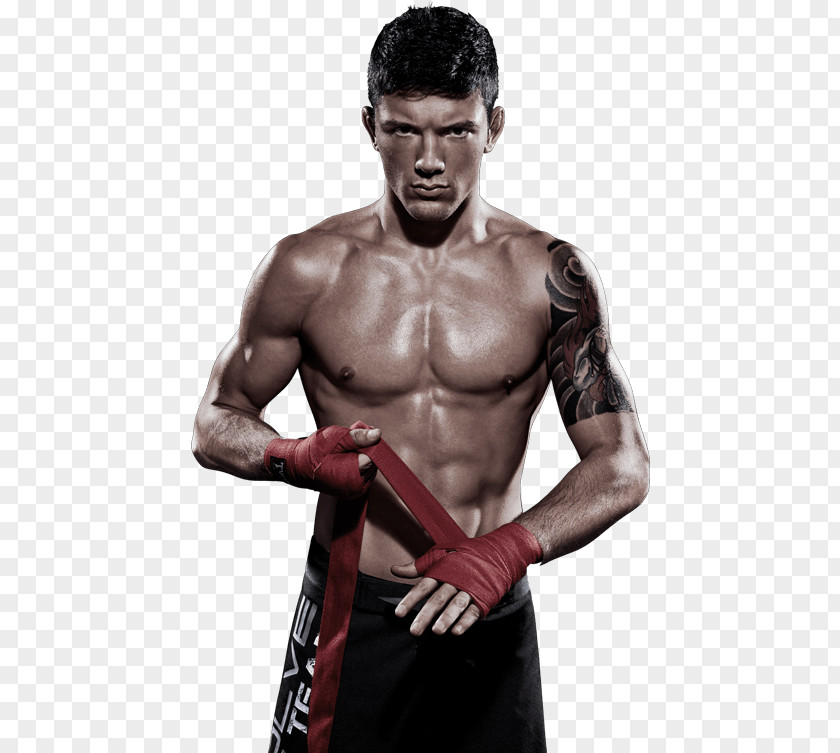 Mixed Martial Arts Bruno Pucci Evolve MMA Boxing PNG