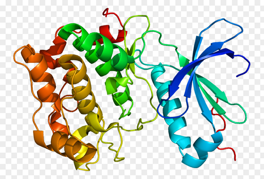 Trna PRKCQ Protein Kinase C Gene PNG