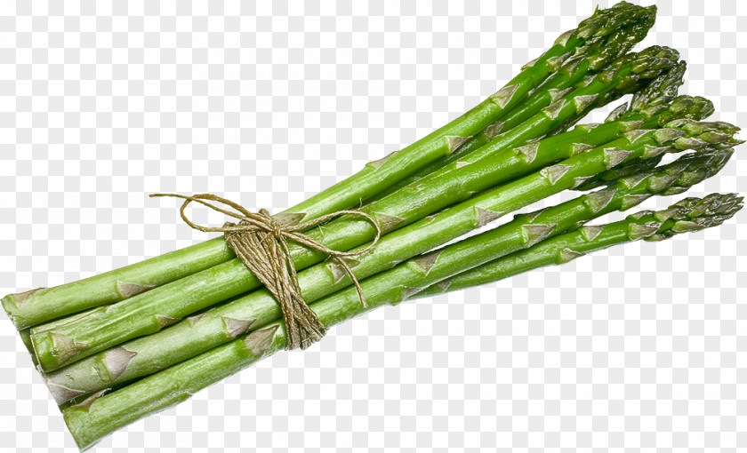 Vegetable Asparagus Plant Food PNG