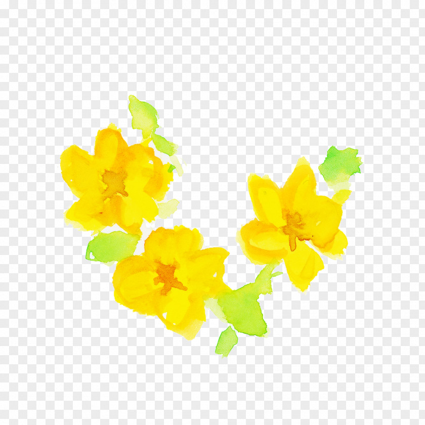 Yellow Flower Plant Petal Wildflower PNG