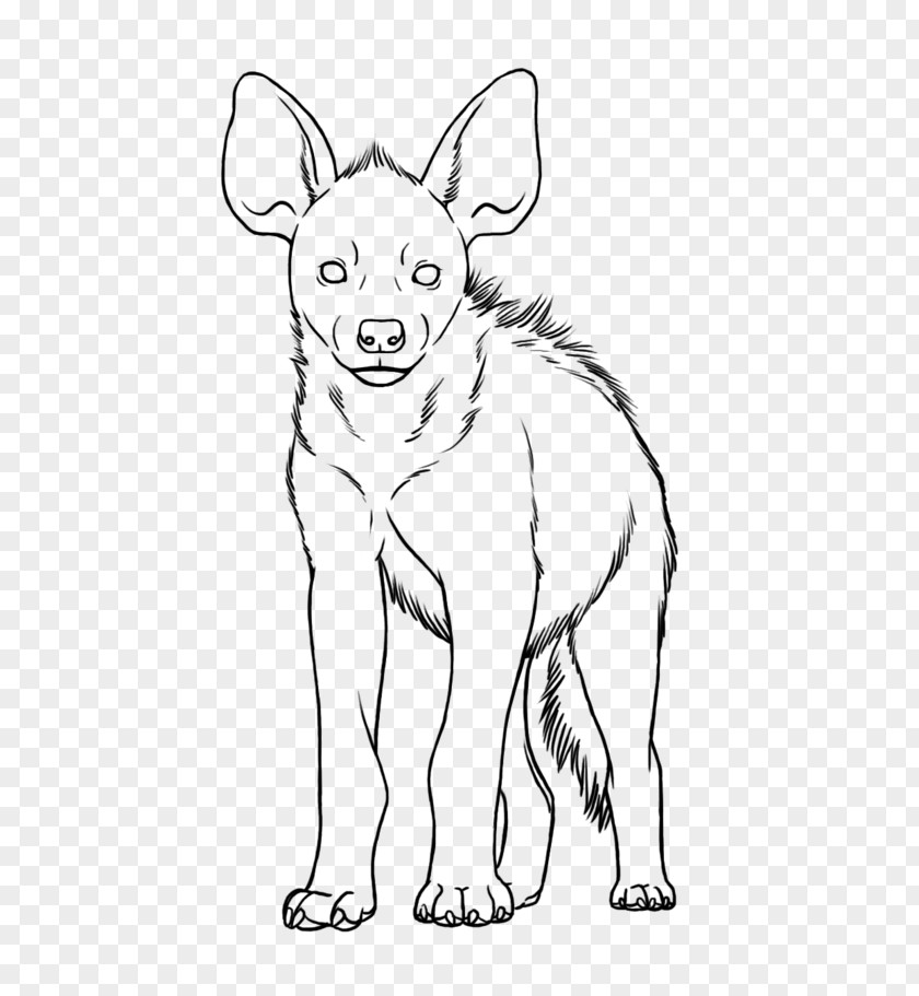 Dog Breed Red Fox Line Art Snout PNG