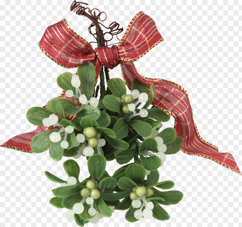 Mistletoe Windsor Christmas Holiday Kiss PNG