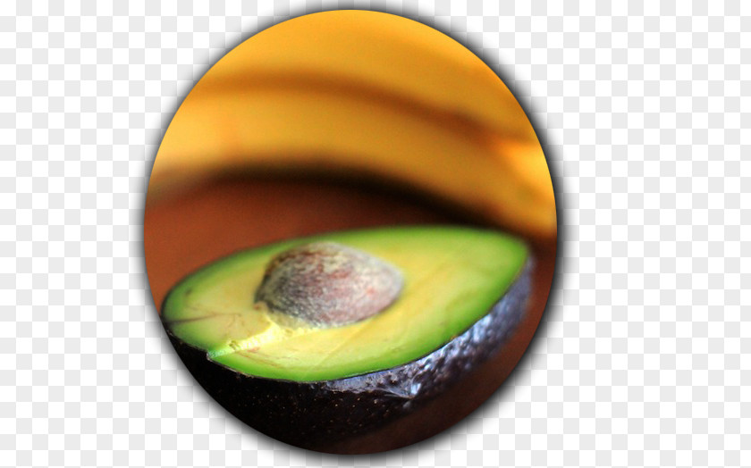 PEOPLE EATING Superfood Avocado Close-up PNG