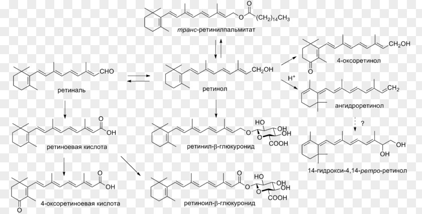 Vitamin A Retinol Retinal Carotenoid PNG