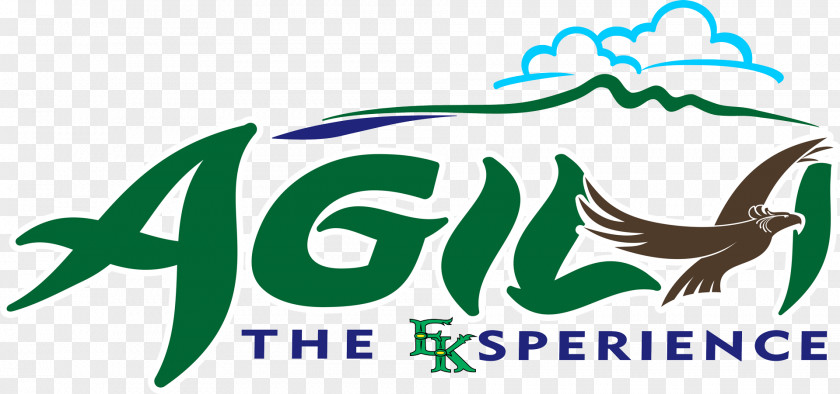 Agila The Eksperience Enchanted Kingdom Flight Agila: EKsperience Forest Tourist Attraction PNG