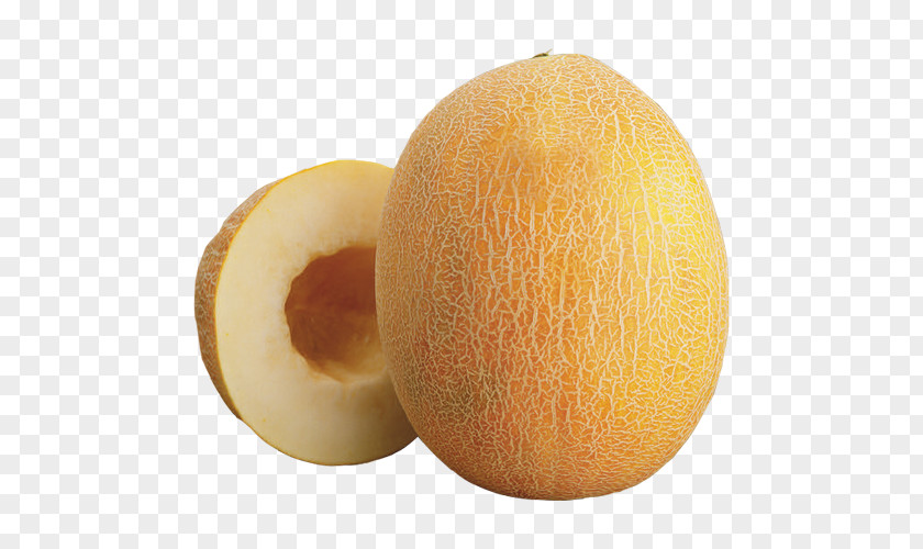 Cantaloupe Melon Honeydew Galia SGI SBC HEDGING TR SF PNG