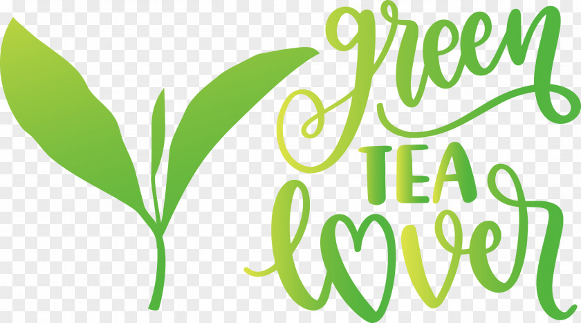 Green Tea Lover PNG