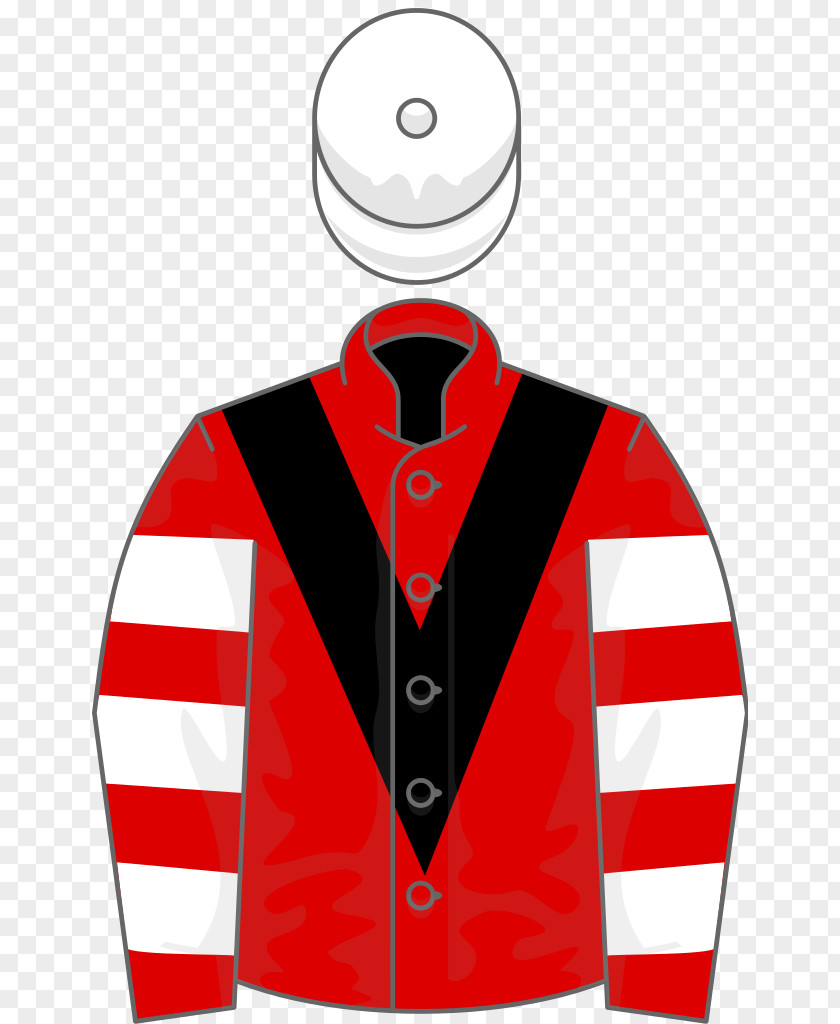 Jacket Wikipedia Thoroughbred Wikimedia Foundation 2017 Melbourne Cup Clip Art PNG