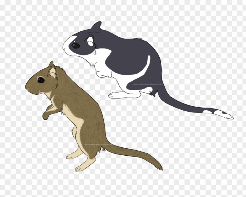 Mouse Gerbil Cat Clip Art PNG