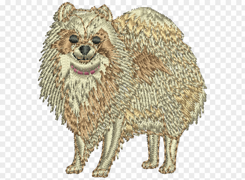 Raccoon Dog Breed Pomeranian Whiskers Snout PNG