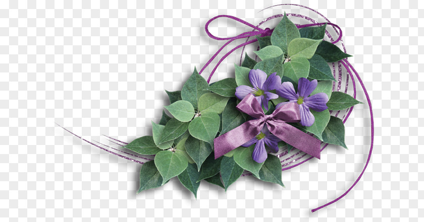 Shoelace Knot Violet Shoelaces Purple PNG