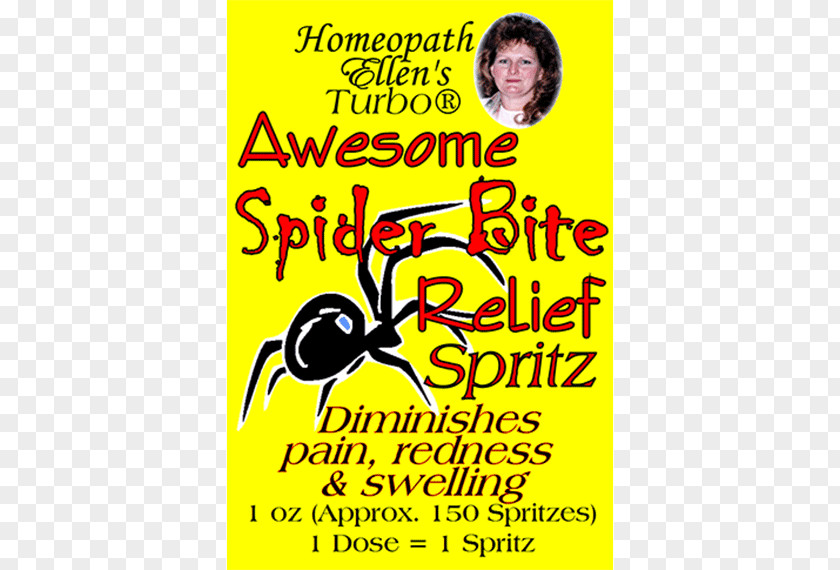 Spider Web Arachnology Happiness Font PNG